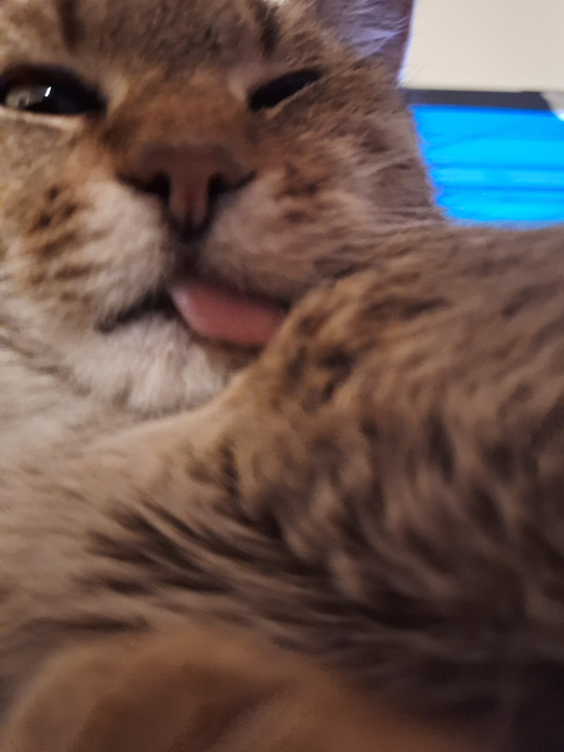 20250329_231212