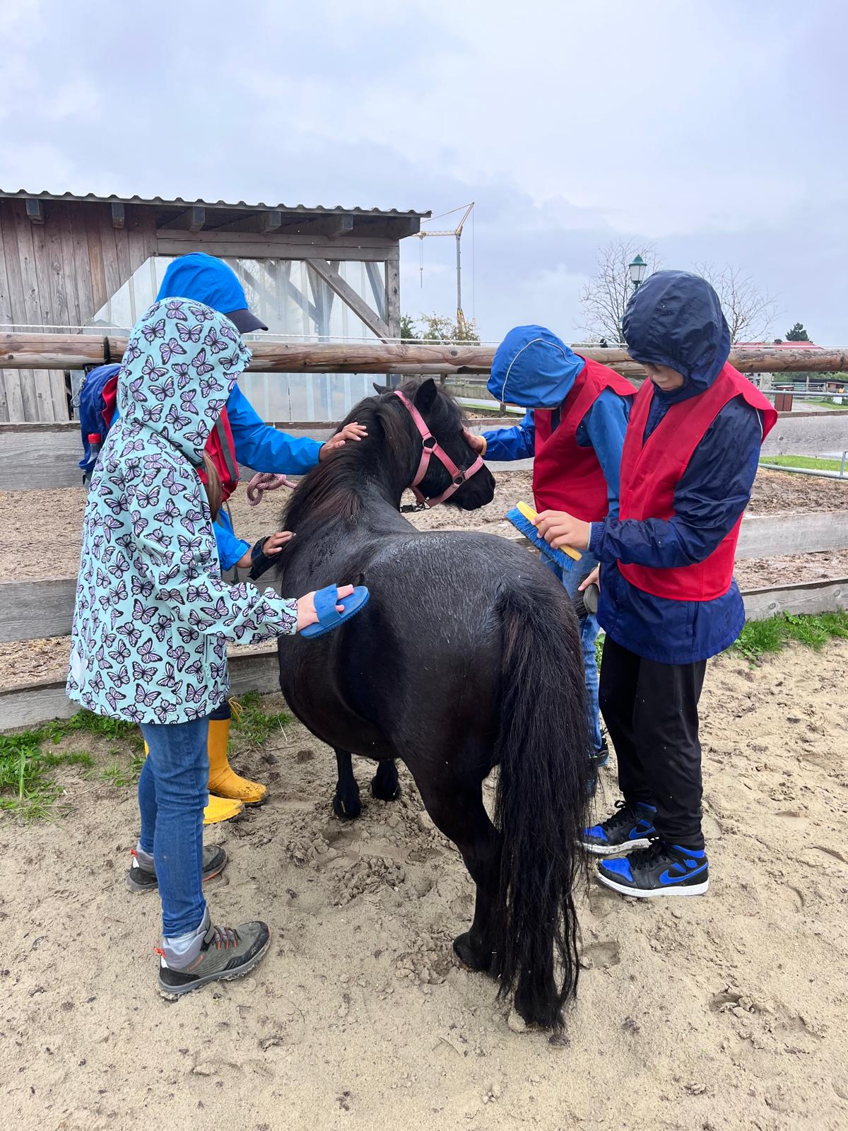 nicht mal der Regen konnte unsere Kindergruppe aufhalten
