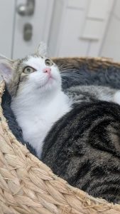 Bibi und Tina 1