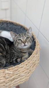 Bibi und Tina 2