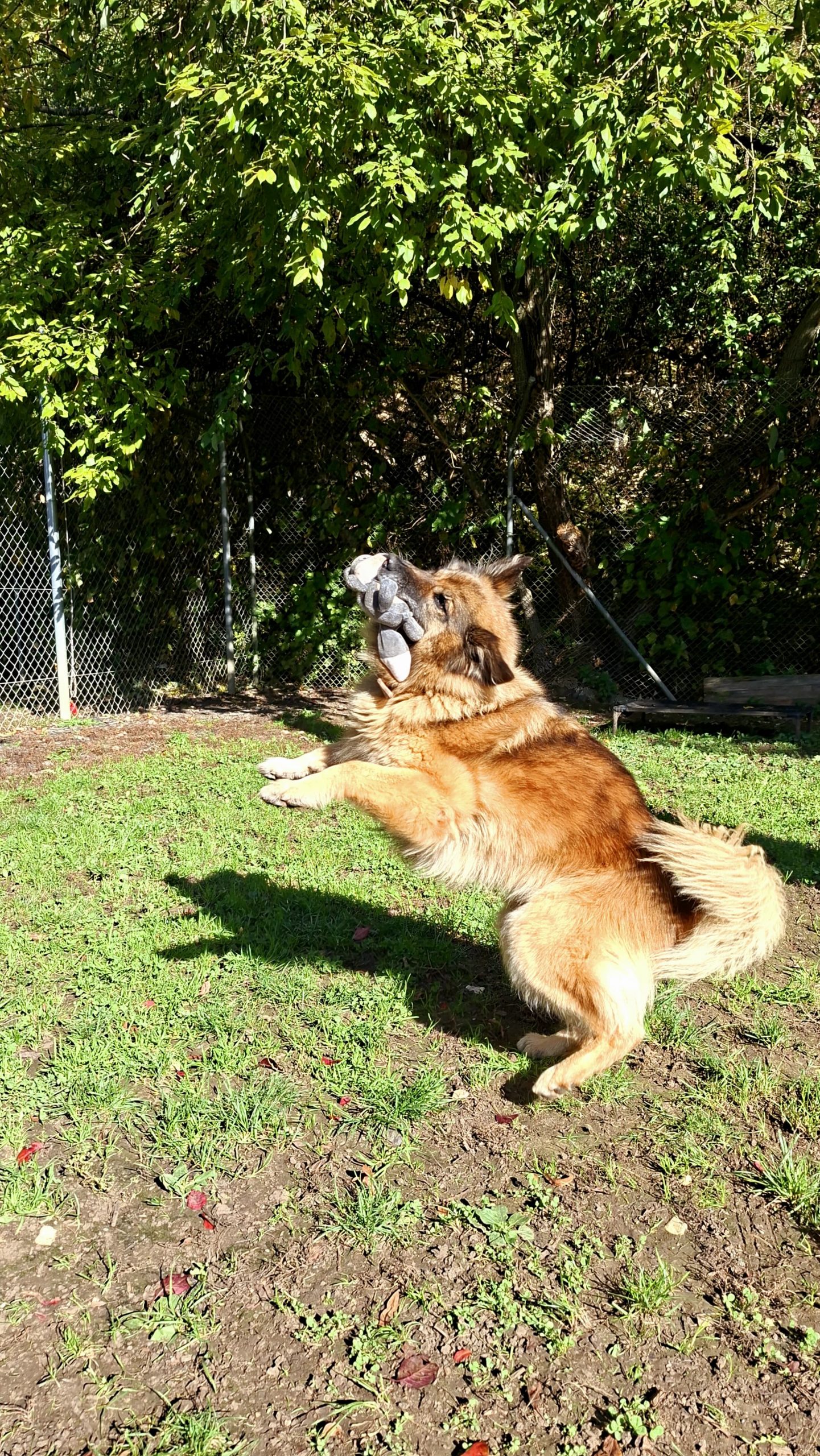 IMG-20251014-WA0037