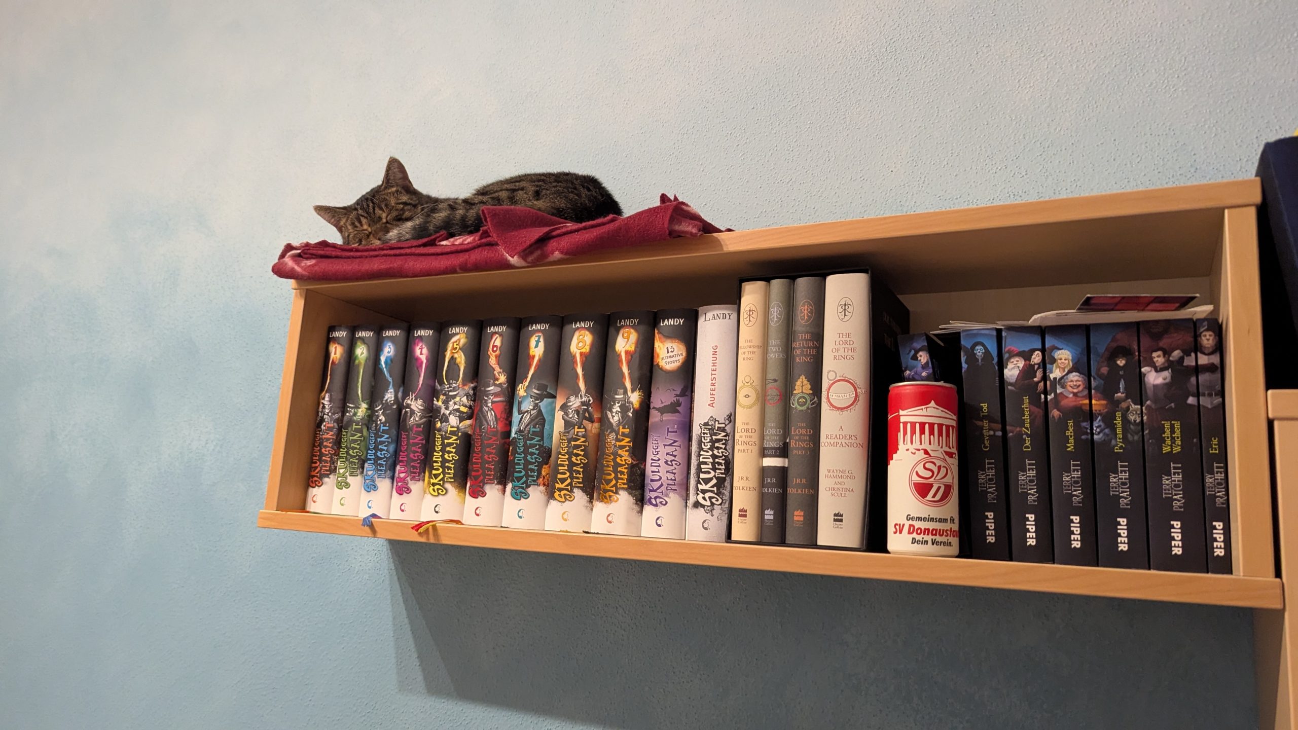 PXL_20251009_174051279