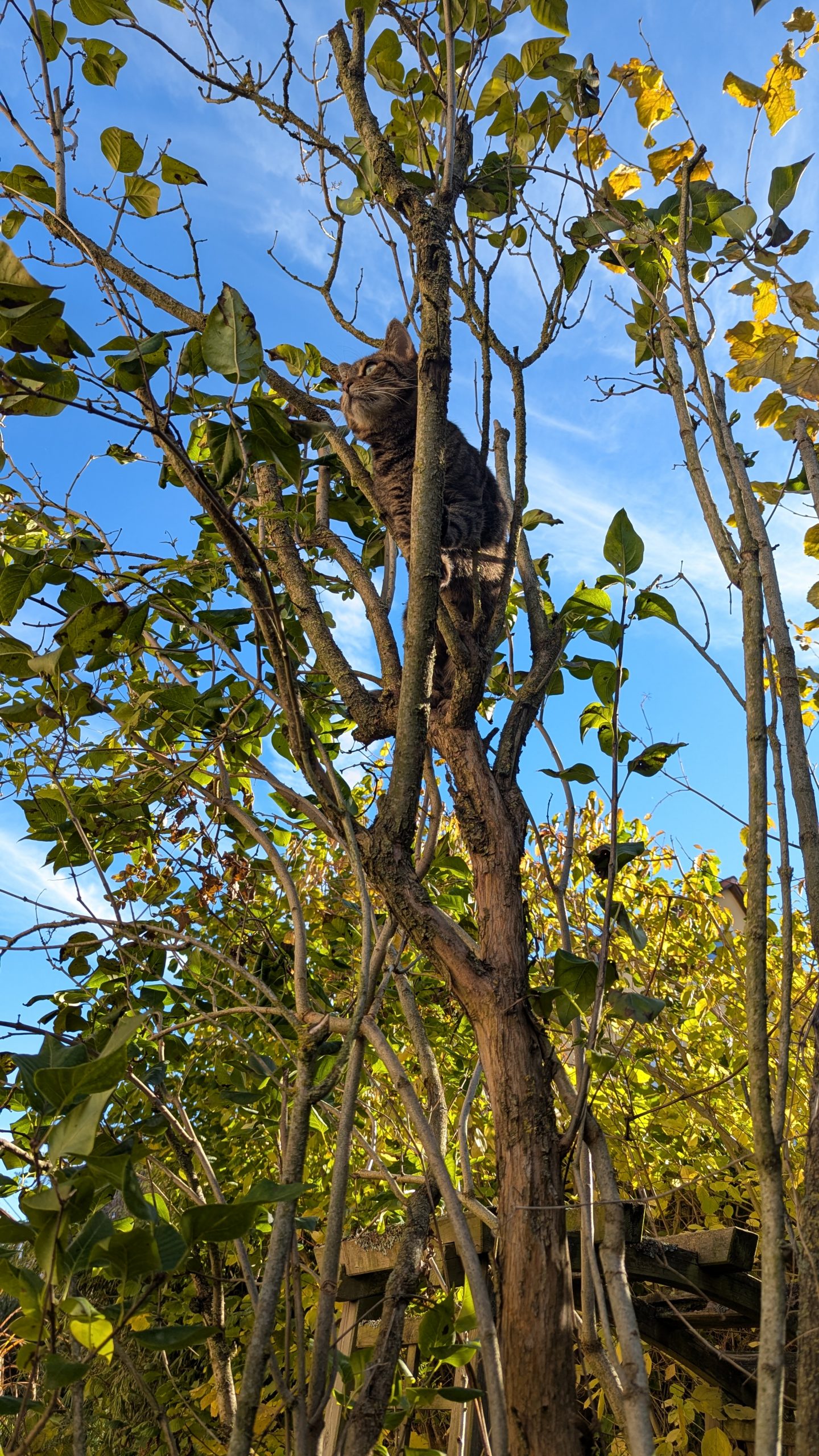 PXL_20251029_104143728