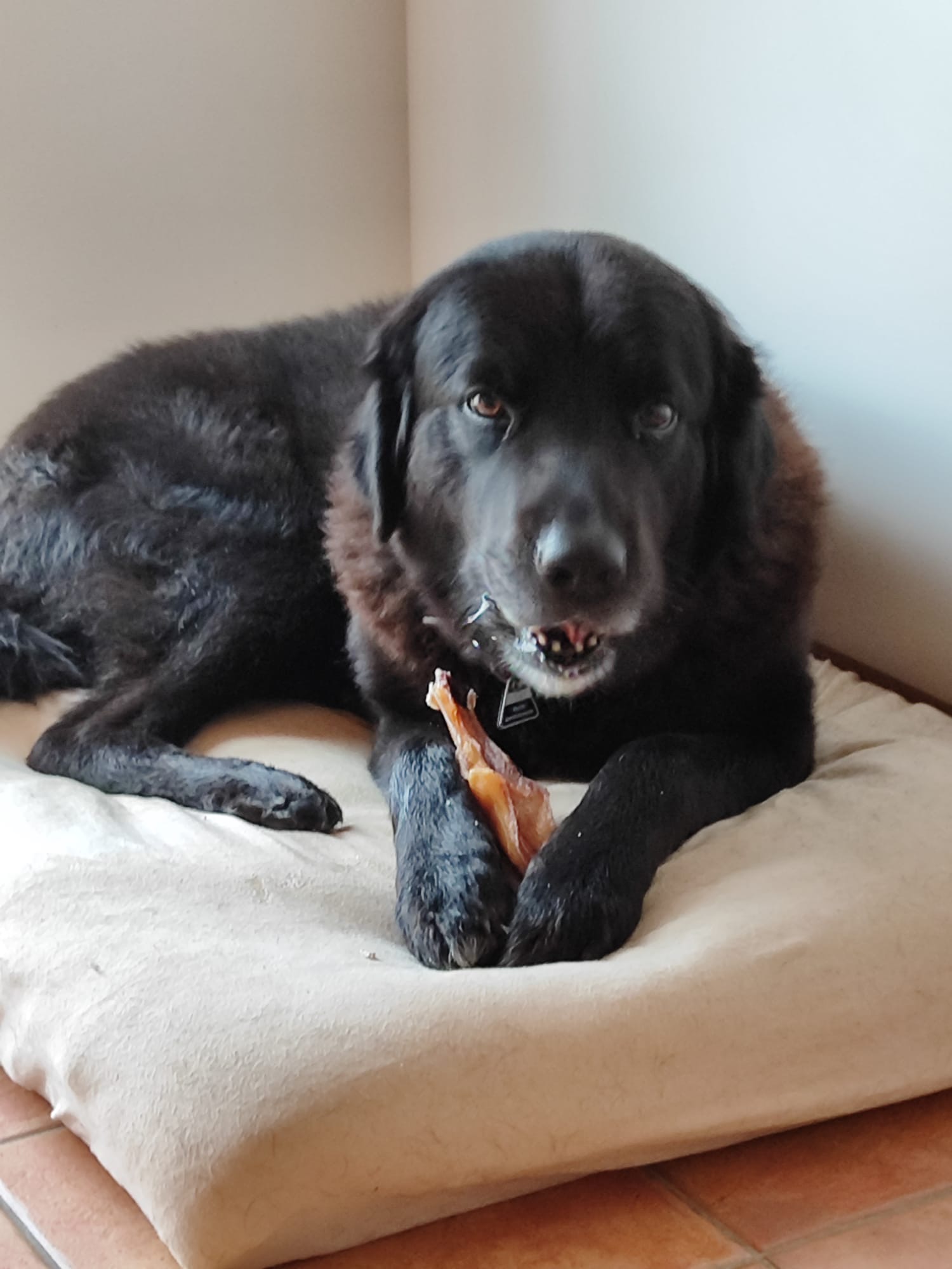 e87d52e6-efe5-489b-9279-cad8bba9508a