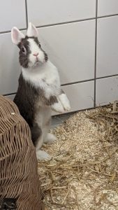 WhatsApp Image 2026-01-01 at 10.41.01