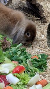 WhatsApp Image 2026-01-01 at 10.41.02 (1)