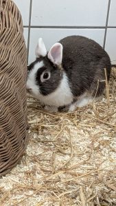 WhatsApp Image 2026-01-01 at 10.41.02 (2)