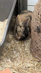 WhatsApp Image 2026-01-01 at 10.41.02 (3)