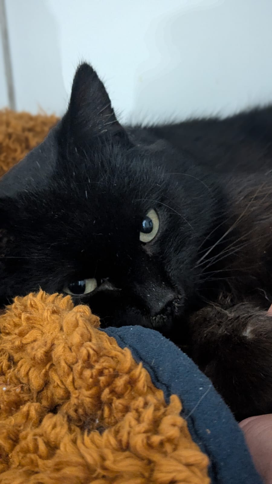 WhatsApp Image 2026-01-01 at 14.17.46 (1)