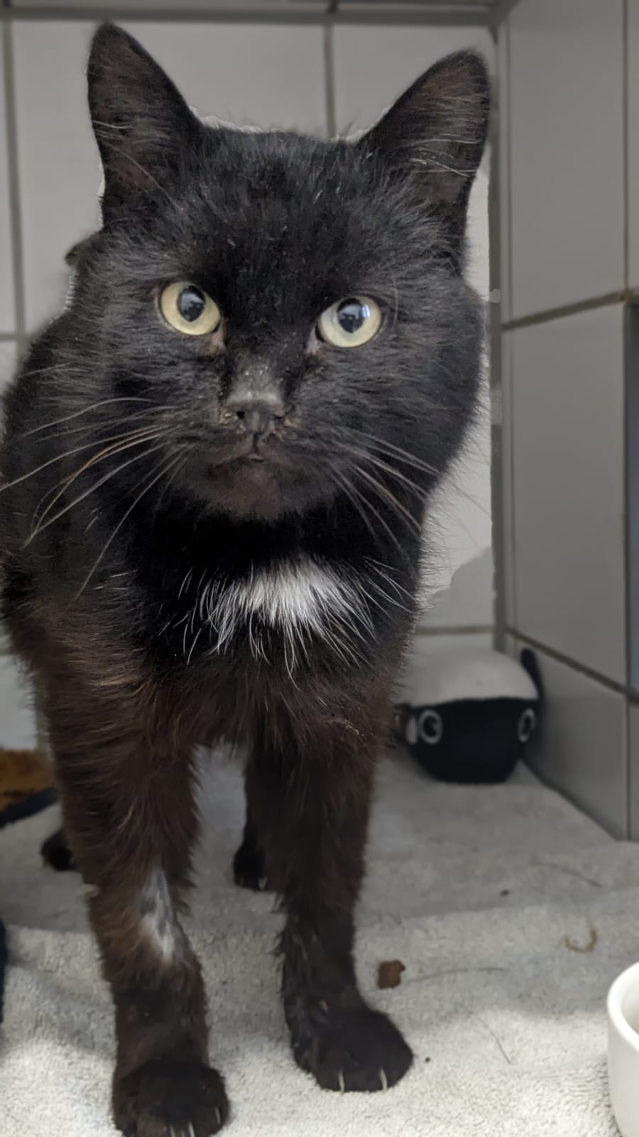 WhatsApp Image 2026-01-01 at 14.17.46