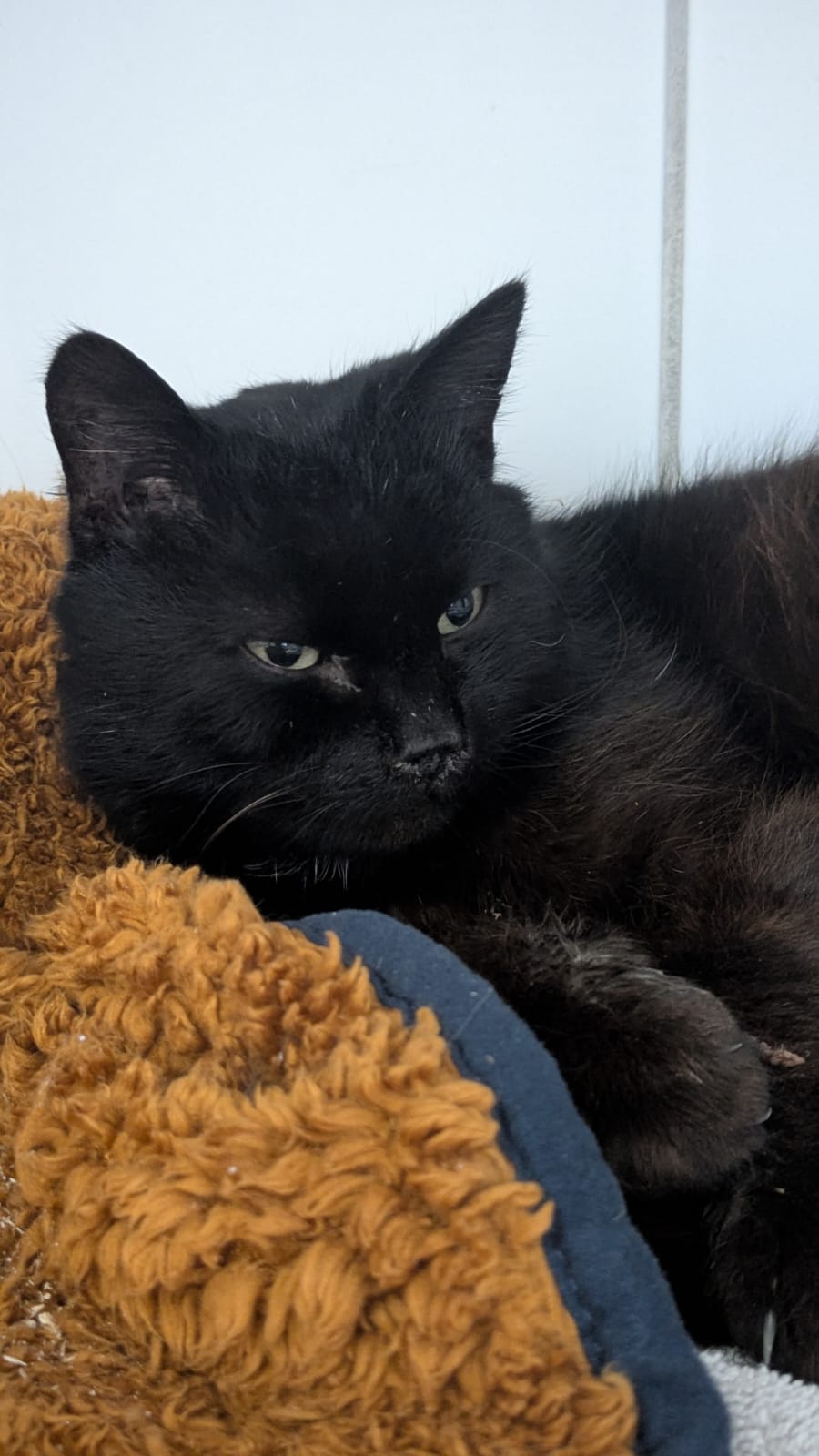 WhatsApp Image 2026-01-01 at 14.17.47