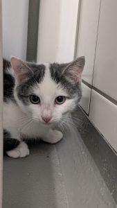 WhatsApp Image 2026-01-01 at 14.28.54 (1)