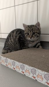 WhatsApp Image 2026-01-01 at 14.28.54