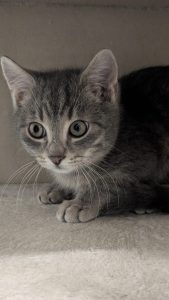 WhatsApp Image 2026-01-01 at 14.28.55