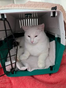 WhatsApp Image 2026-01-09 at 15.03.44