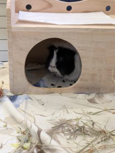 WhatsApp Image 2026-02-11 at 13.24.12 (2)