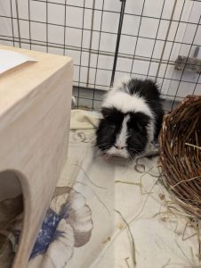 WhatsApp Image 2026-02-11 at 13.24.12