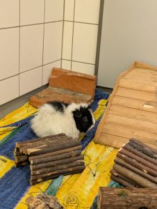 WhatsApp Image 2026-02-11 at 13.24.12 (4)