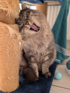 WhatsApp Image 2026-03-05 at 14.51.49 (1)