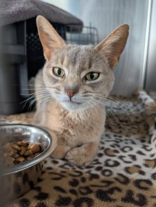 WhatsApp Image 2026-03-20 at 13.18.57 (2)