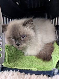 WhatsApp Image 2026-03-20 at 13.18.57