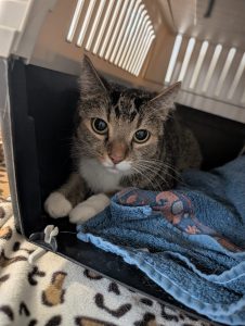 WhatsApp Image 2026-03-20 at 13.18.59