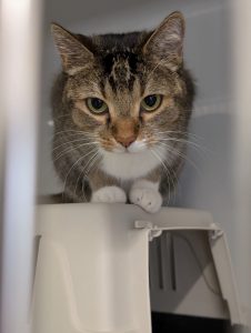 WhatsApp Image 2026-03-27 at 15.13.39