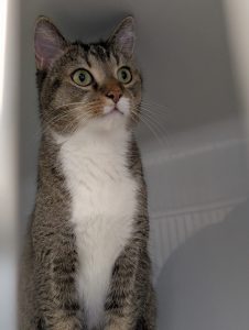 WhatsApp Image 2026-03-27 at 15.14.11