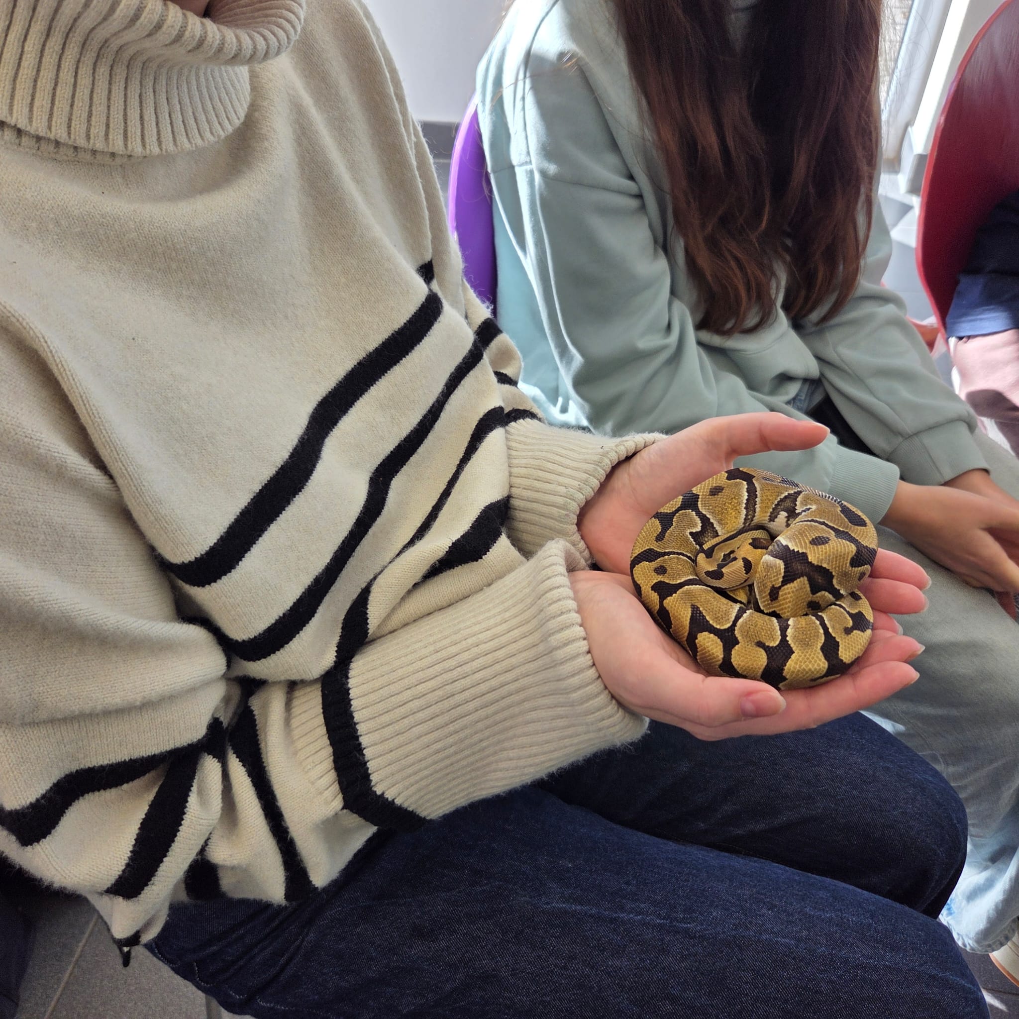 motion_photo_296825879691841453