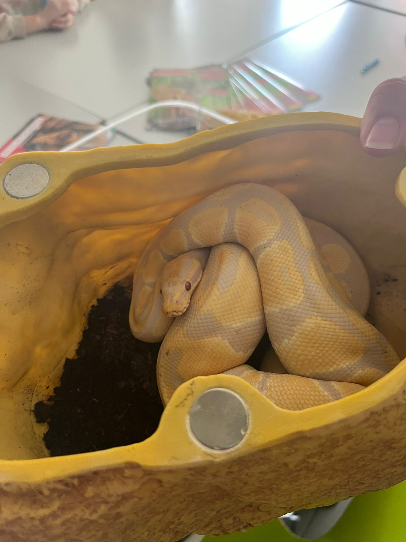 motion_photo_3329494636020471665