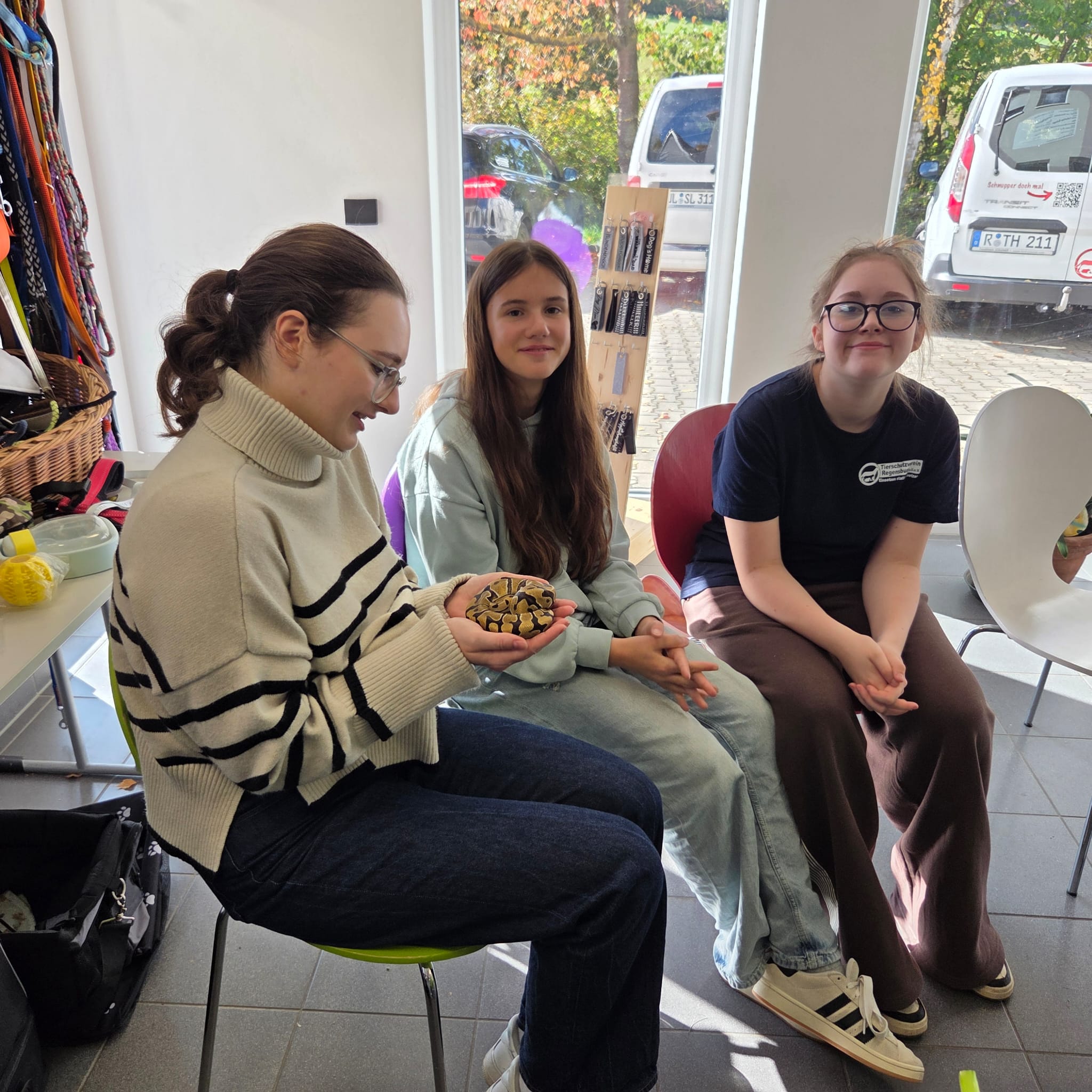 motion_photo_3814107514459845062