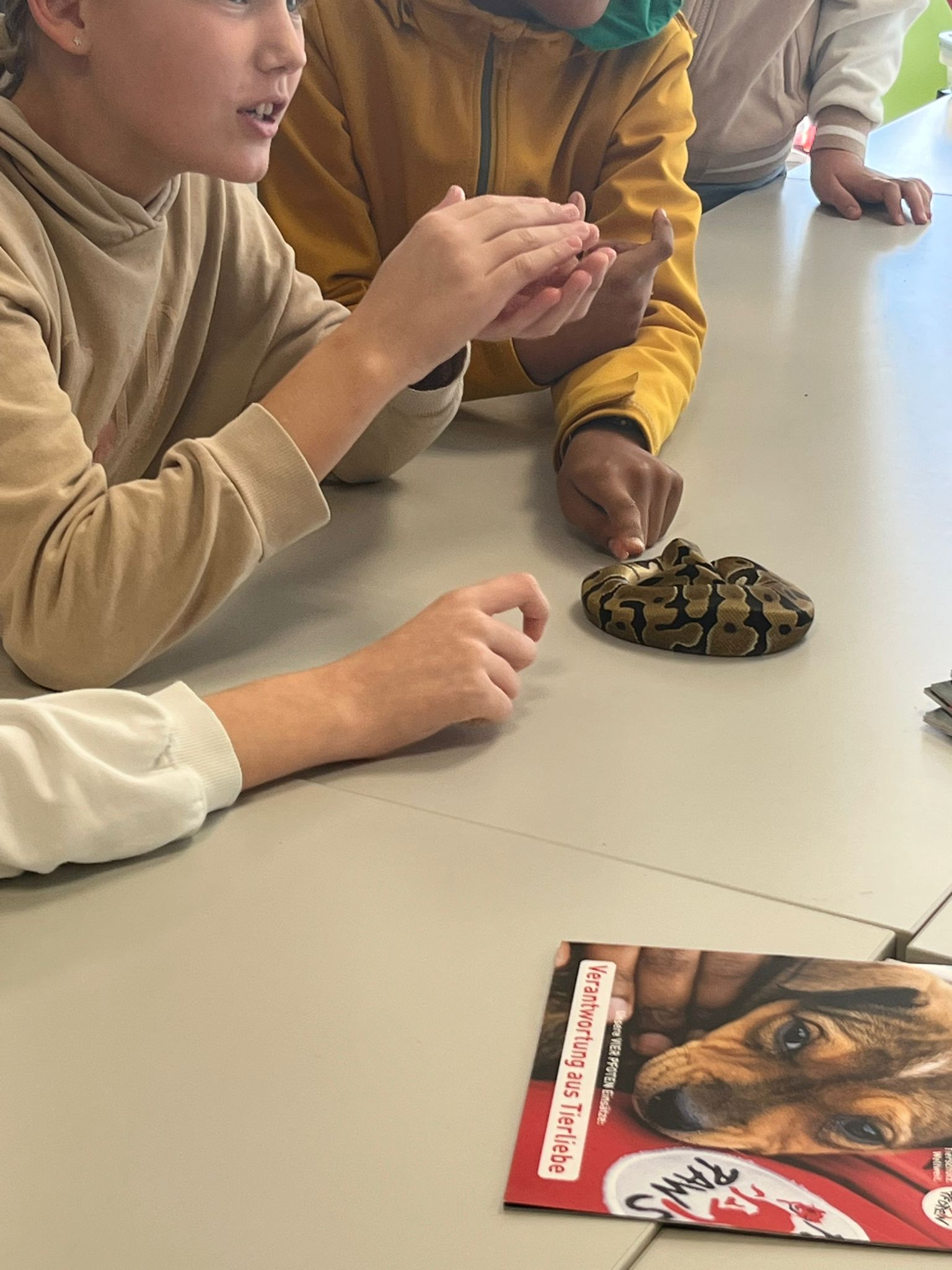 motion_photo_4703468401492913721