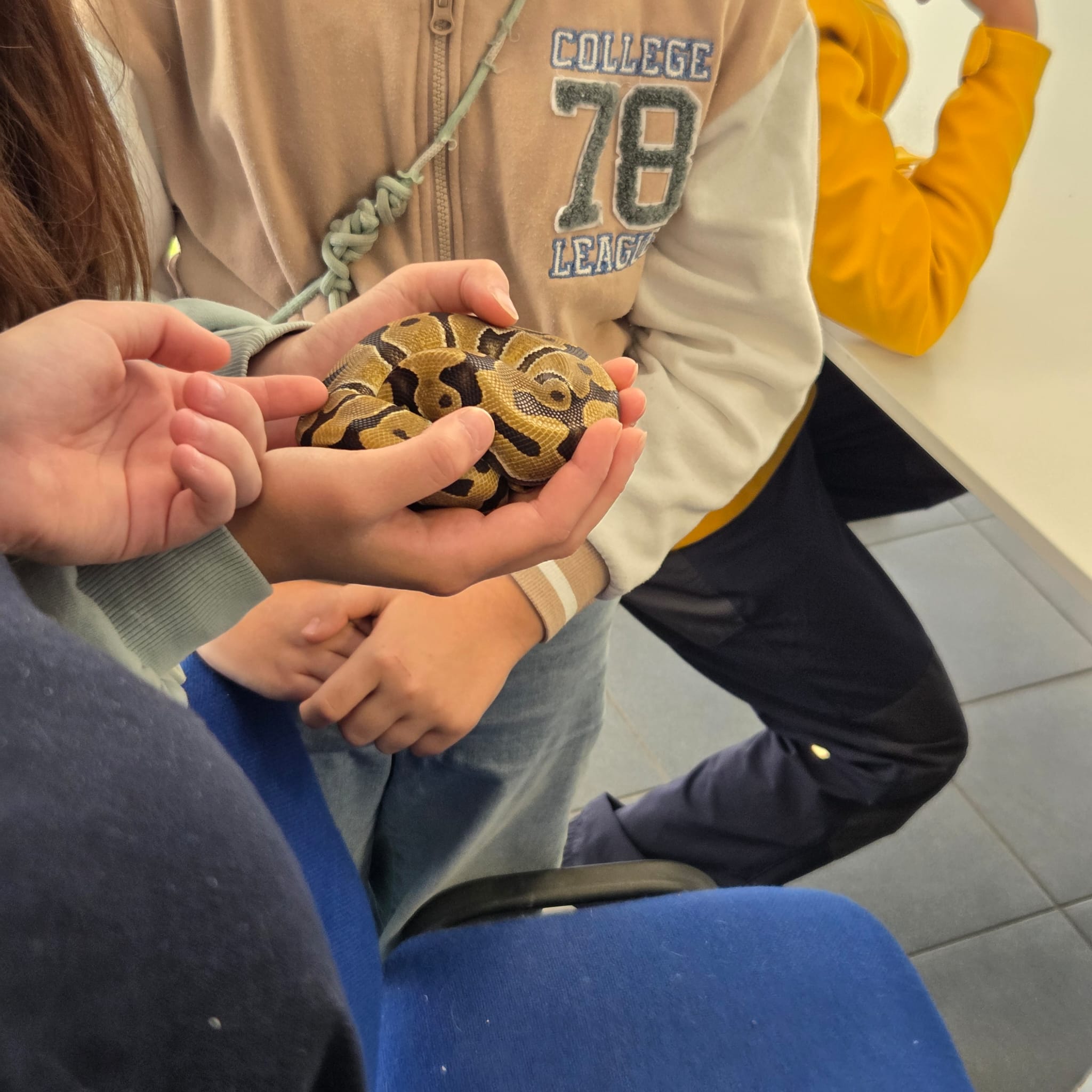 motion_photo_5704009613462276194