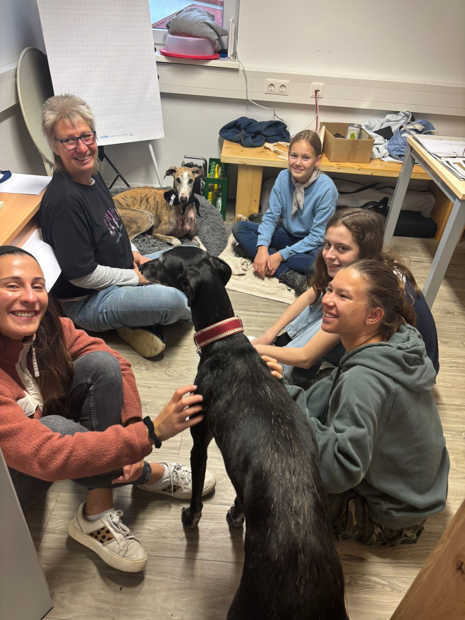 motion_photo_6630573068764851069