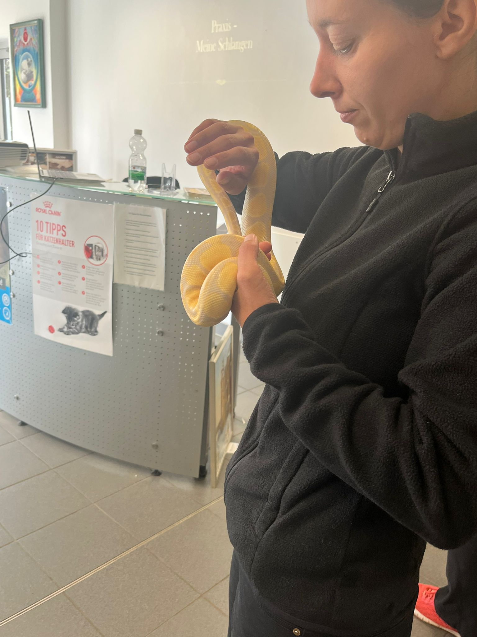 motion_photo_7404230177242397749