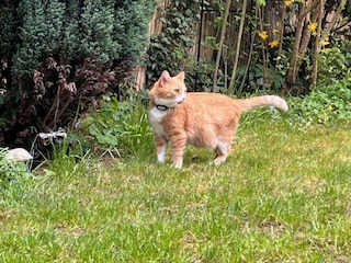 2604_Abbey Garten