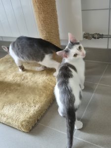 Adrian und Alma
