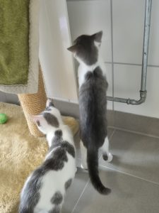 Alma und Adrian