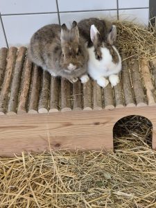 Emma und Lotte