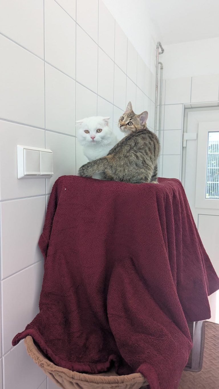 Jessy Und Claire 1
