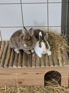 Lotte und Emma